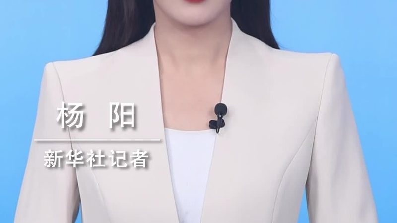 小型企业如何选择合适的ELT工具：关键要素与误区解析**